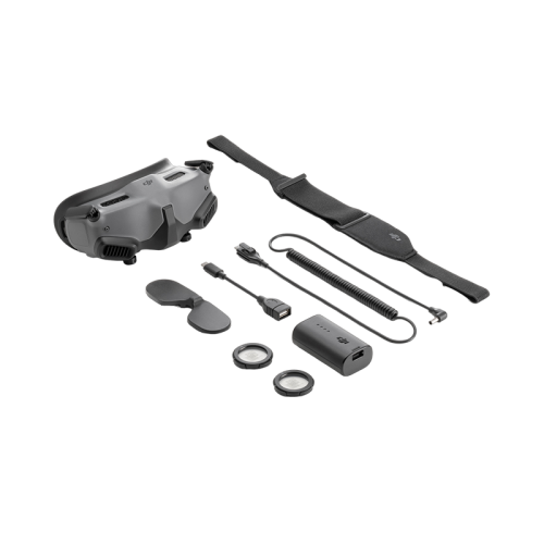 Купить Очки DJI Goggles 2  в Новосибирске, Россия | доставка