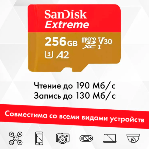 Карта памяти Sandisk Micro SD 256GB Новосибирск, Россия