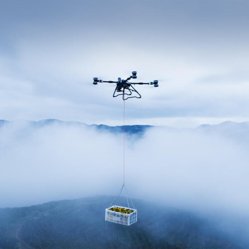 Дрон DJI Agras T100  Новосибирск, Россия 