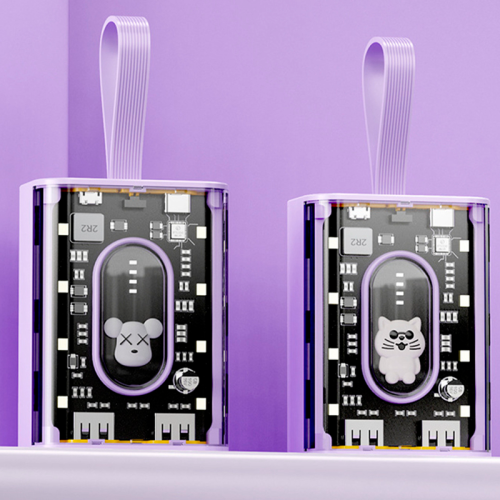 Внешний аккумулятор ZFR PB53 Bear 5000 mAh фиолетовый Новосибирск, Россия