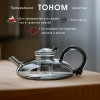 Тохом боросиликат шыны сүзгісі бар шәйнек, 600 мл Чайник Tohom из боросиликатного стекла с фильтром, 600 мл – Қазақстан бойынша жеткізумен сатып алу | Tohom