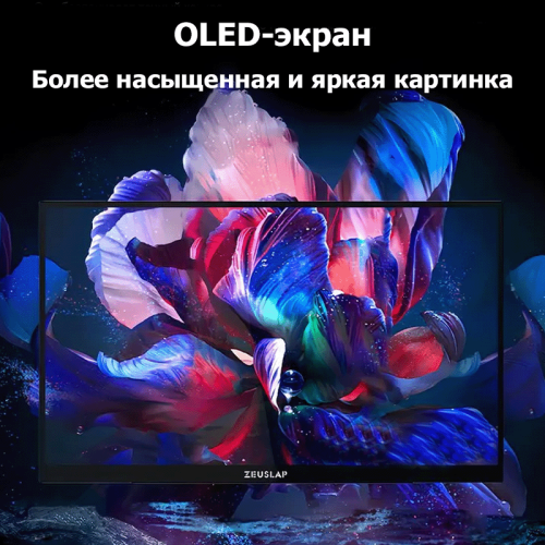 Игровой монитор 13.3" ZEUSLAP OL133ED черный Алматы, Казахстан