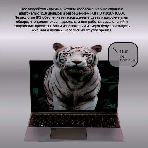 Ноутбук ToHoM WorkLite 15.6 дюймов, 16 Гб ОЗУ, SSD 512 Гб, серебристый корпус