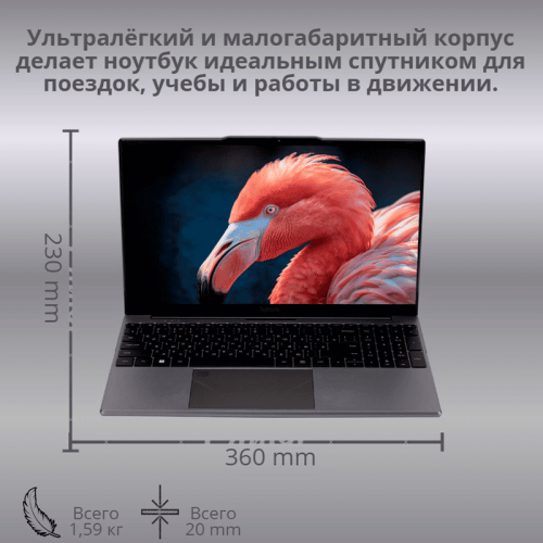 Ноутбук ToHoM WorkLite 15.6 дюймов, 16 Гб ОЗУ, SSD 512 Гб, серебристый корпус