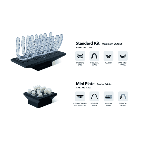 3D-принтер Phrozen Sonic CS+ в работе, демонстрирующий детализированный отпечаток