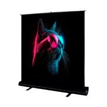 Проекторы и Интерактивные панели