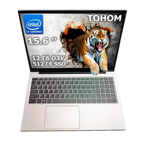Ноутбук Tohom TG-12 12 Гб SSD 512 Гб